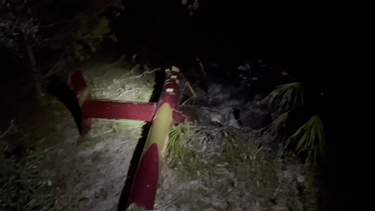 Helicopter pilot, 63, dies in Myakka City crash, Manatee deputies say