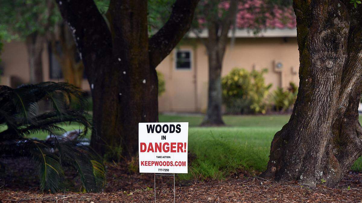 Braden Woods residents have banded together to oppose a development near River Club which would clear-cut the woods for a housing development. 
 TIFFANY TOMPKINS/Bradenton Herald