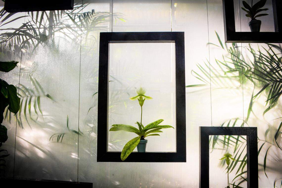 A new exhibit at Selby Botanical Gardens in Sarasota titled “Flowers, Poetry, and Light” ties together the work of two renowned contemporaries: photographer Robert Mapplethorpe and musician and writer Patti Smith.