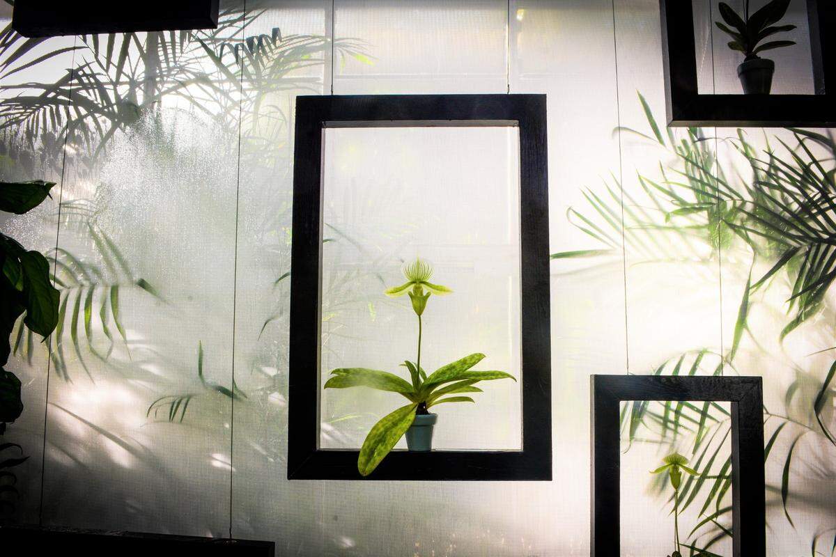 A new exhibit at Selby Botanical Gardens in Sarasota titled “Flowers, Poetry, and Light” ties together the work of two renowned contemporaries: photographer Robert Mapplethorpe and musician and writer Patti Smith.