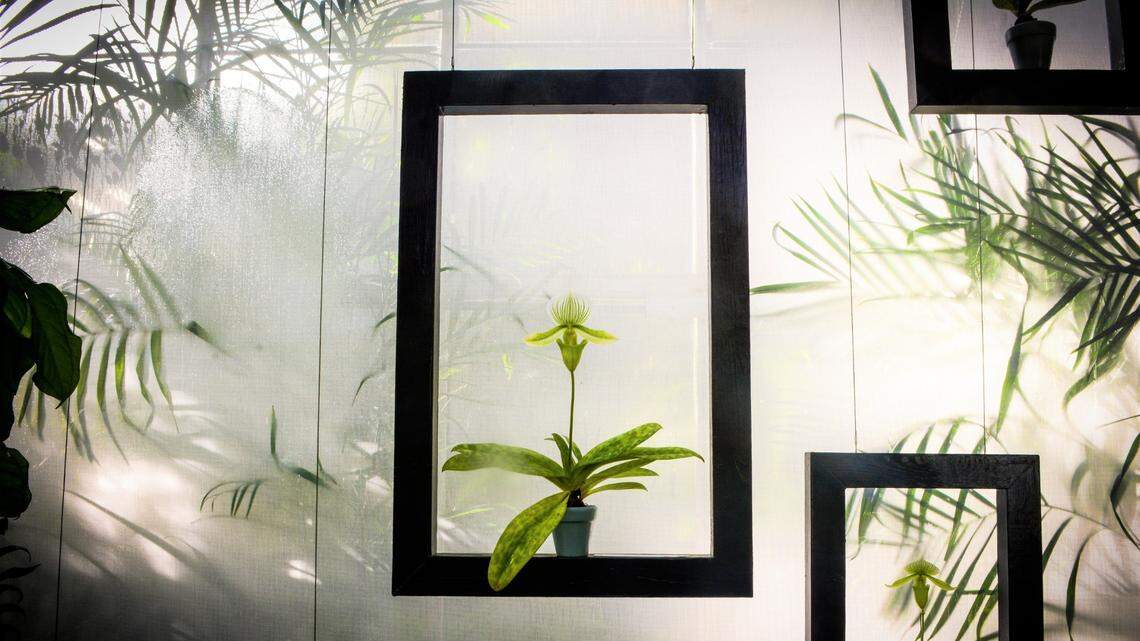 Home expo, film fest, train robbery ride: 11 things to do near Bradenton this weekend