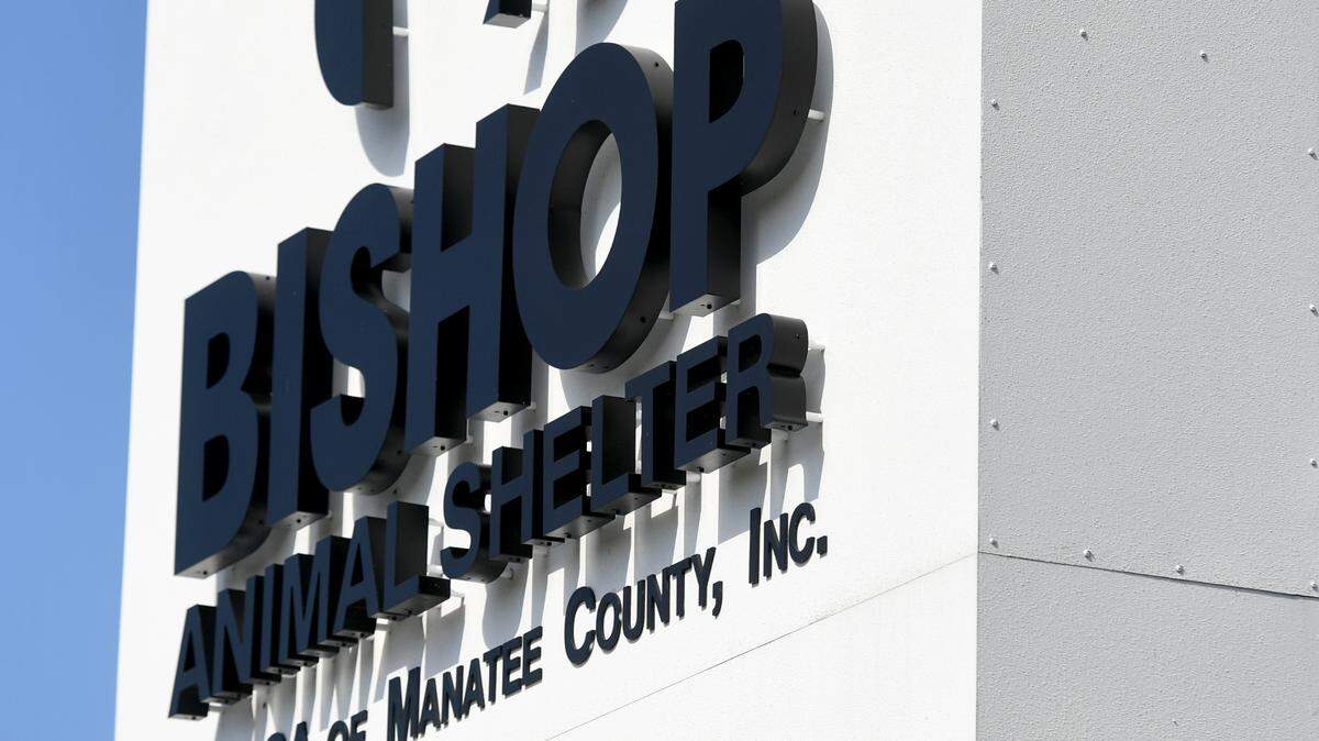 The city of Bradenton sent crews to contain a nearly 10,000-gallon sewage spill at Bradenton’s Bishop Animal Shelter on Saturday.