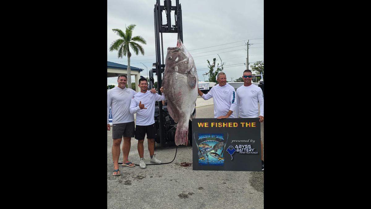 Team Plan B/Cortez Cove poses with their 335-pound Warsaw grouper caught during the Sarasota Shootout offshore fishing tournament.