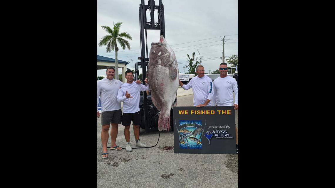 Bradenton-area anglers land massive Warsaw grouper. It was a Gulf rematch