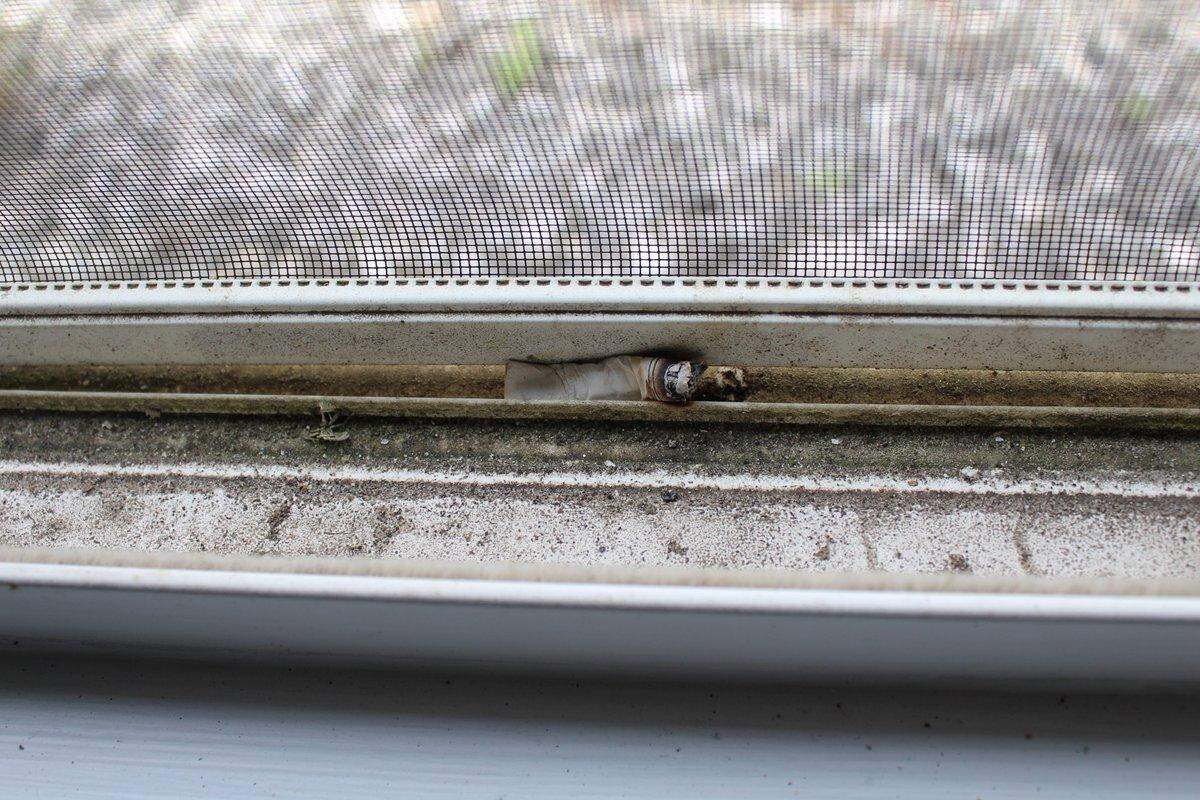 A cigarette butt found shoved between an open window’s screen and the building was collected as evidence and tested. According o the Walton County Sheriff’s Office, DNA evidence on the cigarette pointed to James D. Jackson.