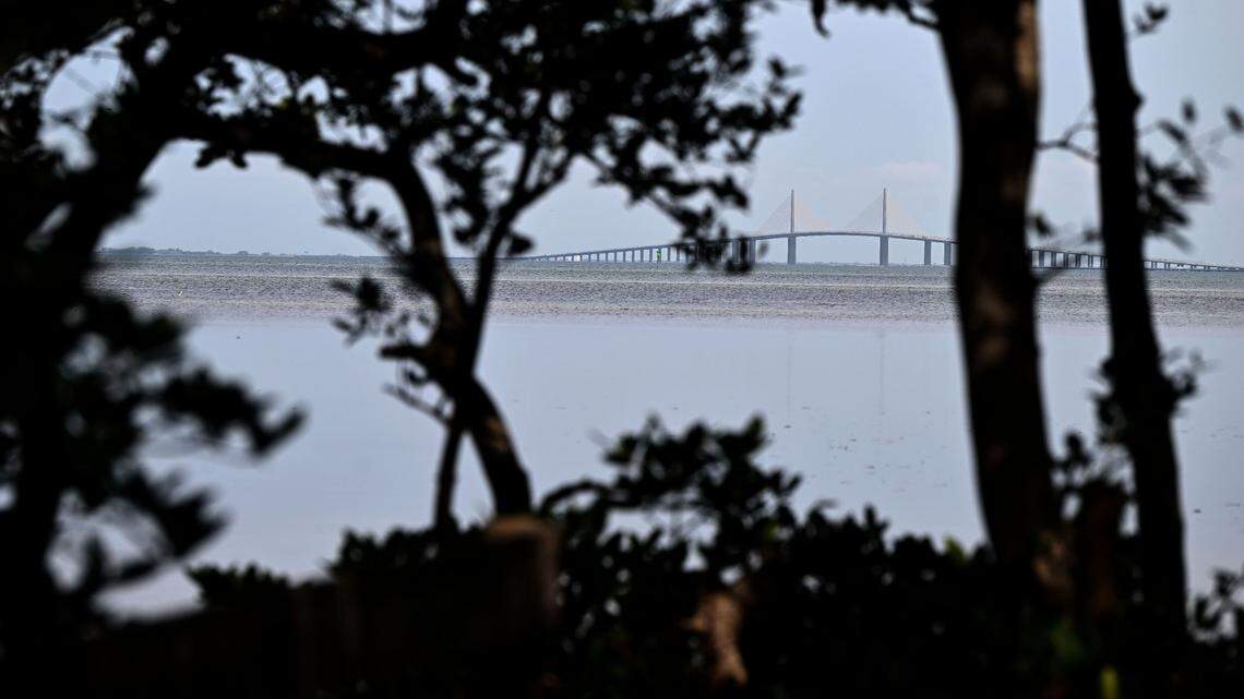 Over 300 acres of coastal Manatee County land near the Sunshine Skyway Bridge could soon become home to cruise ship terminal. The Sunshine Skyway Bridge is visible through the trees at Emerson Preserve in this 2024 Bradenton Herald file photo.
