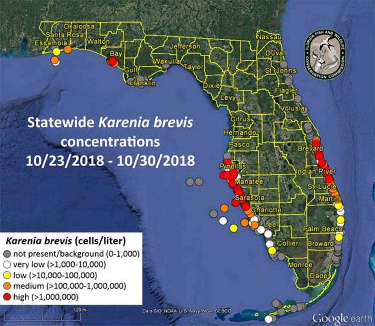 A map of red tide levels as of October 31, 2018.