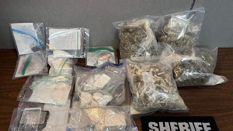 Bradenton drug dealer arrested after investigation leads to raid, deputies say