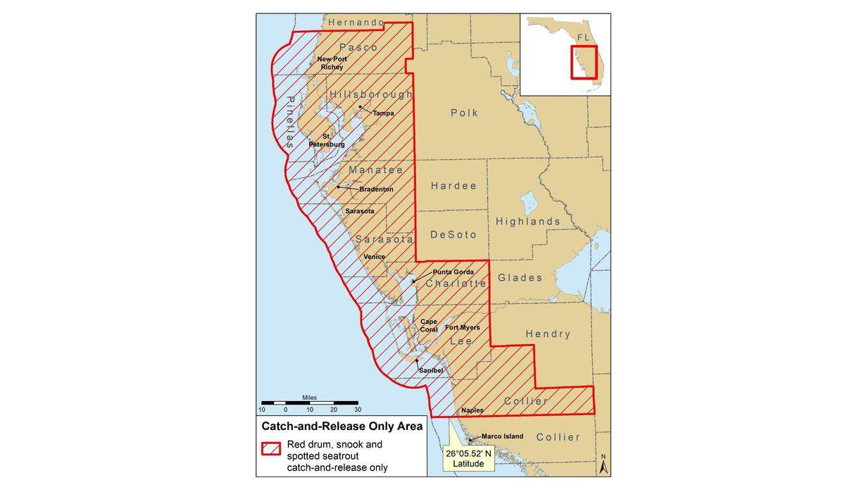 A map depicts the region affected by catch-and-release only measures for several popular sport fish that Florida wildlife officials say are still recovering from a recent severe bloom of red tide.