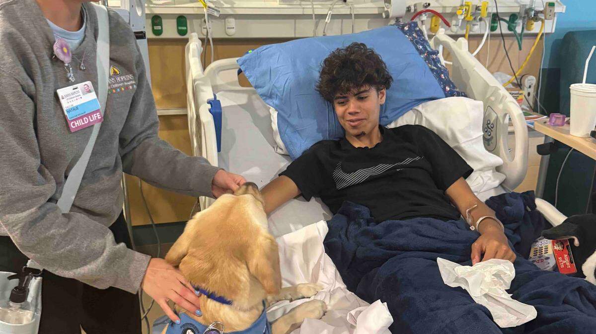 Liam’s family launched a GoFundMe after the eighth-grader was struck by a car in Lakewood Ranch.