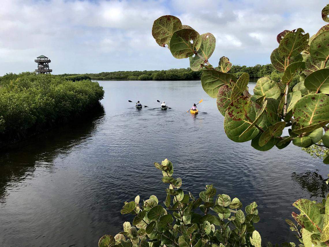 Manatee County residents have shown in the past that they want county officials to balance the trend of land development with preserving green space. This walking bridge to Robinson Preserve can be seen from Manatee Avenue.