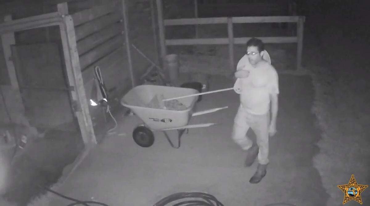 Surveillance video captured this man looking around stables in Palmetto on the night that a horse was stolen and later slaughtered for its meat, according to Manatee County Sheriff’s Office.