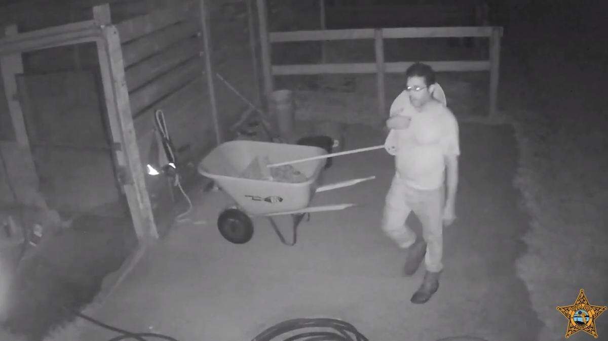 Surveillance video captured this man looking around stables in Palmetto on the night that a horse was stolen and later slaughtered for its meat, according to Manatee County Sheriff’s Office.