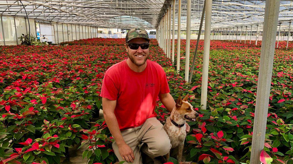 Tyler Orban is shown with his dog Piper among part of the crop of 200,000 poinsettias that Orban’s Nursery grew this year.