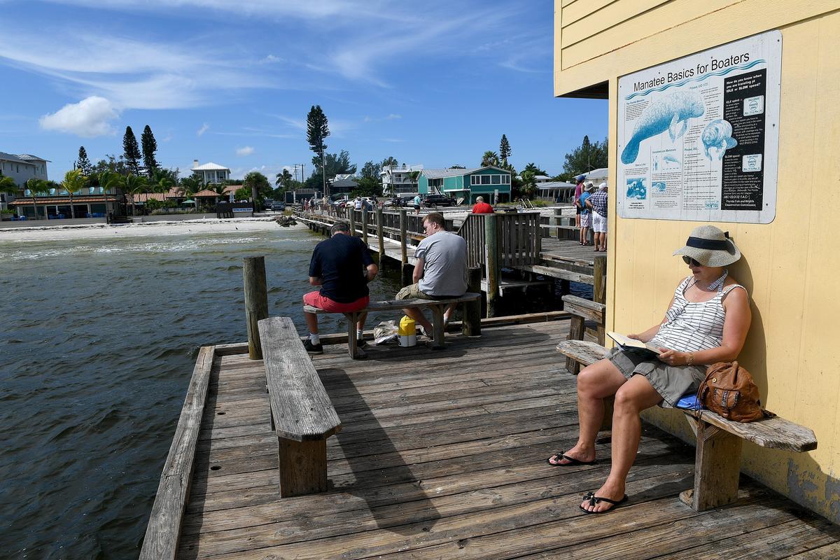A stiff breeze Monday kept the air smelling fresh, with just a hint of red tide smell. No dead fish were in evidence, though the water was still an off color on the North end of Anna Maria Island as visitors enjoyed the day at the Rod & Reel Pier.