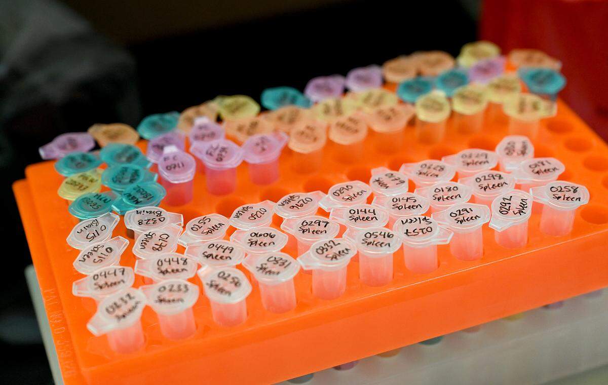 One of the labs at the Roskamp Institute where Dr. Michael Mullan has been studying the causes of Alzheimer’s for more than 30 years.
