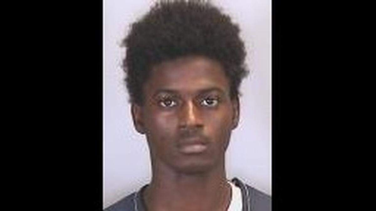Trenton Brown, 20, was arrested and charged with armed robbery, aggravated assault with a firearm and possession of a firearm by a convicted felon.