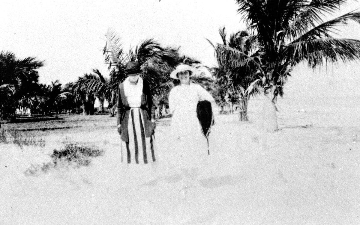 Unidentified ladies stand among the young cocoanut palms along the beach at Anna Maria. The Gulf of Mexico lies alluringly nearby on the right between 1925-35.