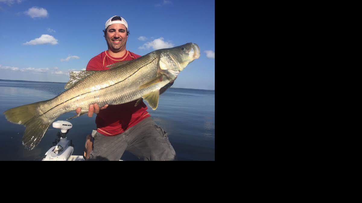 Sal Dodaro shows a snook he caught recently fishing with Capt. Chris Wiggins.