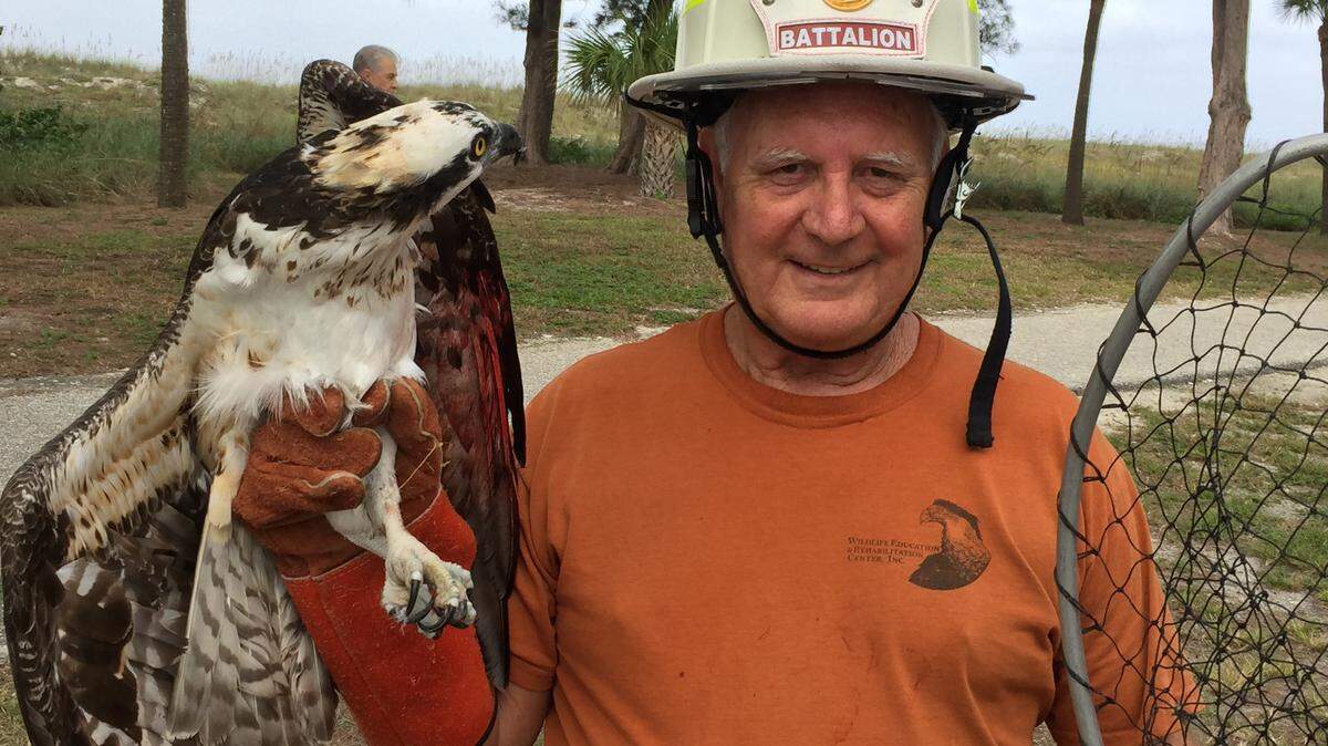 Bradenton Beach Commissioner Edward Straight smiles after rescuing an osprey from a tree Wednesday morning.Photo by Rich Jasinski/West Manatee Fire Rescue
