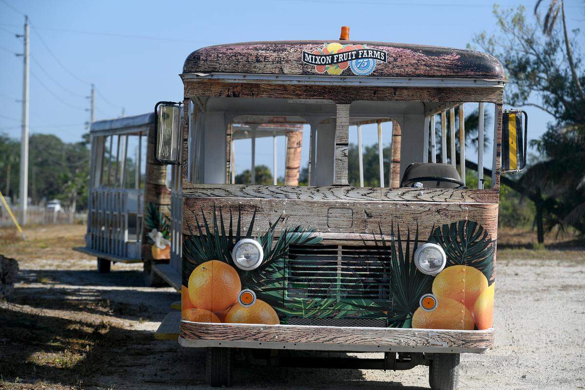A tram used for tours sits in the parking lot of Mixon Fruit Farms before the business’s final day in July 2023. Manatee County Government will soon purchase the land and wants to incorporate agritourism. 
