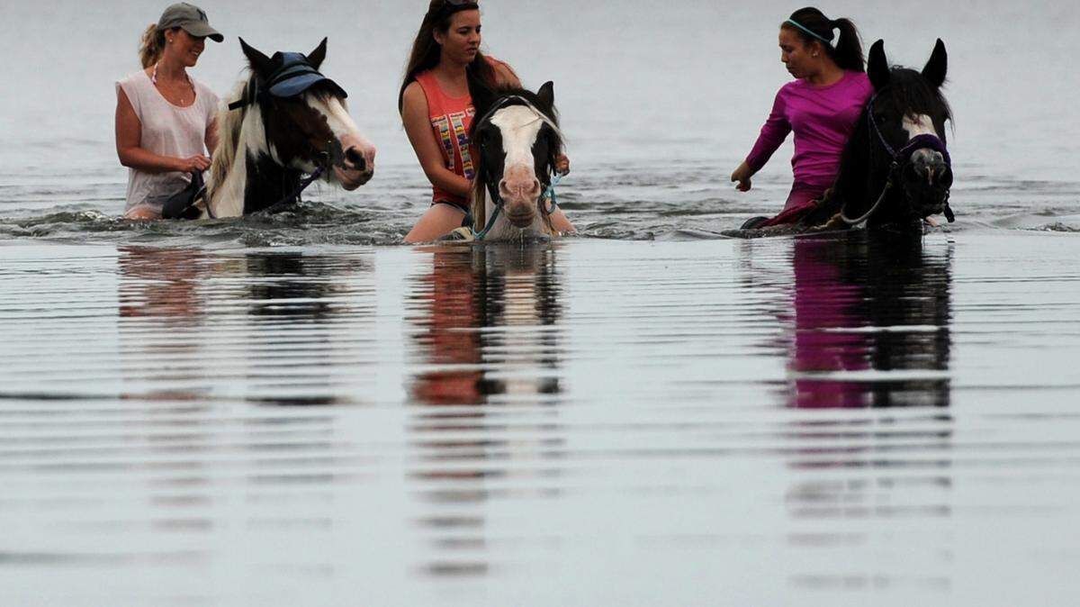 Riders Alexandra Morris and Kristin Burns are lead by Mercedes Pages, a guide with C Ponies, Myakka City, as they ride Thursday in the calm waters of Palma Sola Bay.GRANT JEFFERIES/Bradenton Herald