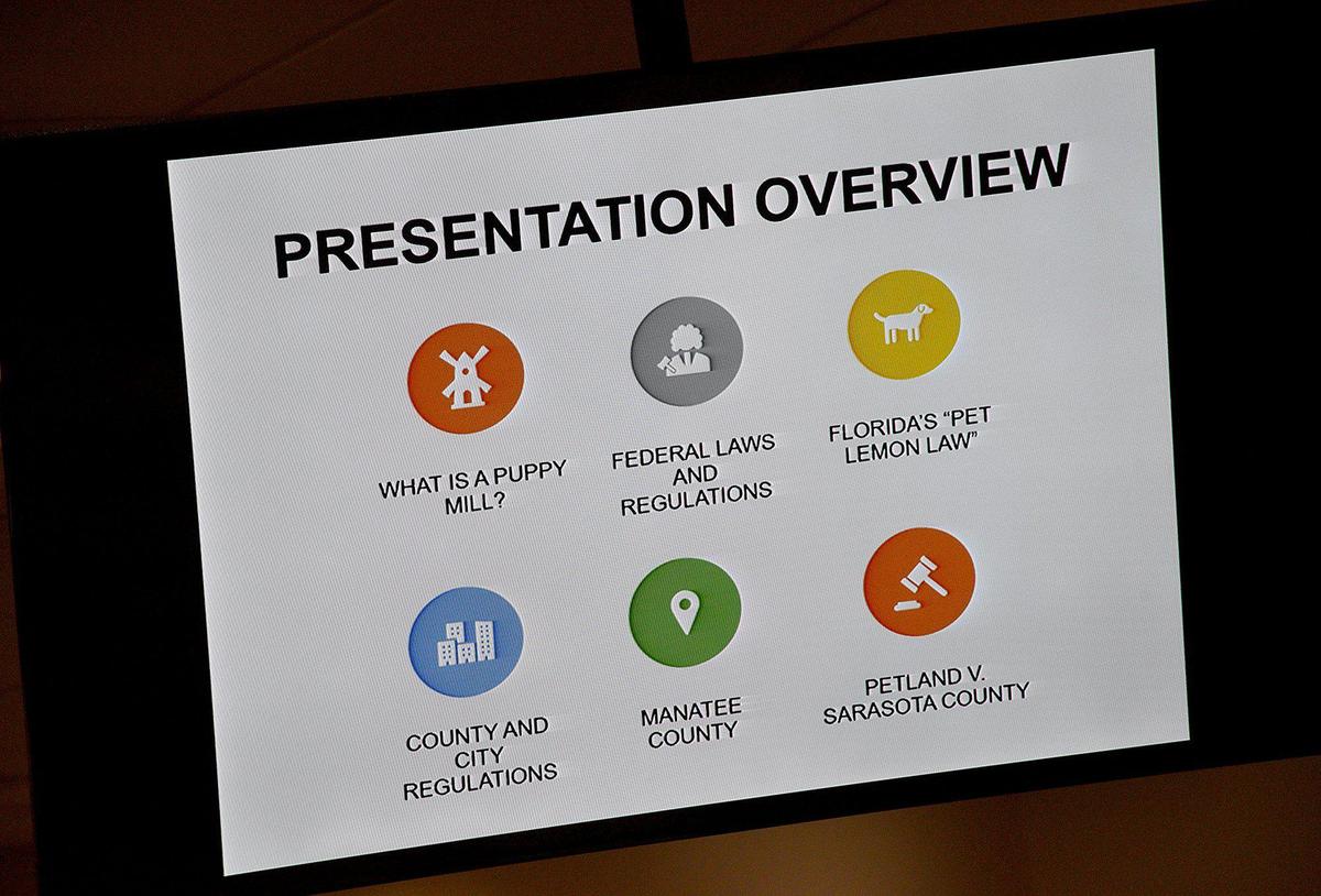 Manatee Board of County Commissioners follow Sarasota officials by indicating their support for a ban on the sale of retail pets during Thursday’s meeting.