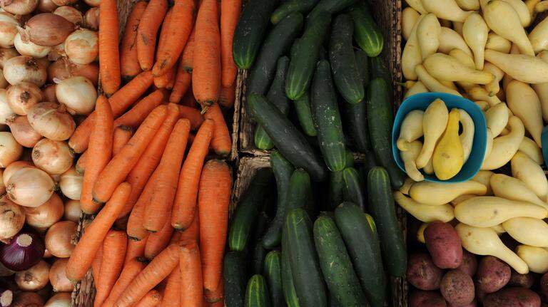 Bradenton Farmers Market starts new season
