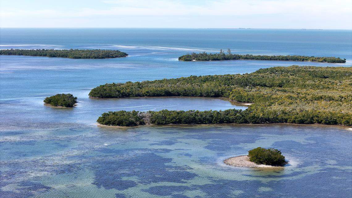 The Knott-Cowen Tract, where SSA Marine and partner Slip Knott LLC plan to build a new cruise ship port. Photo taken Jan. 20, 2026.