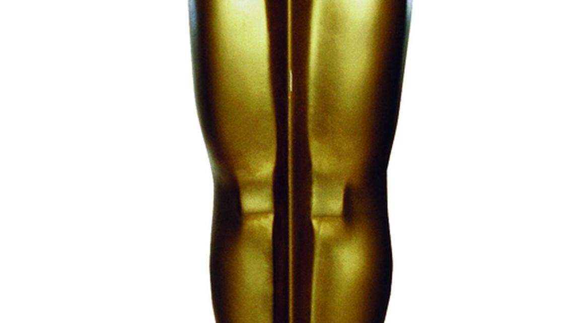 Sarasota Film Society hosts Academy Awards party 