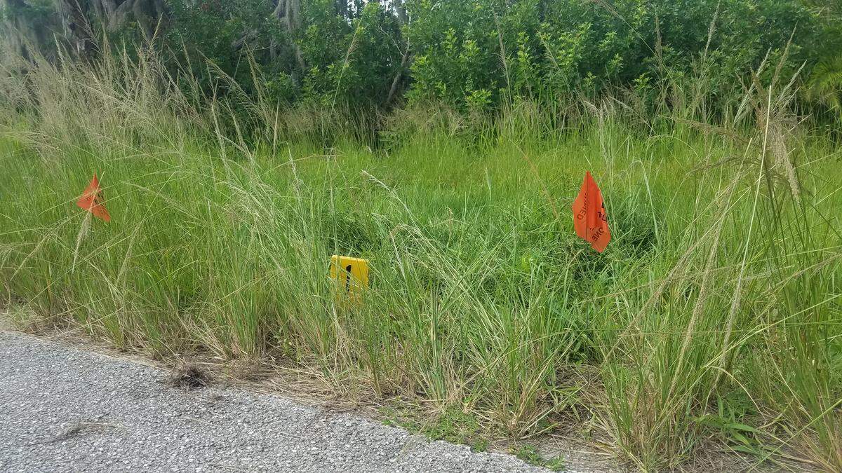 An evidence marker indicates potential evidence found by a crime scene technician with the Manatee County Sheriff’s Office as they searched the grass where Christopher Alan Boston’s body was found late Wednesday..