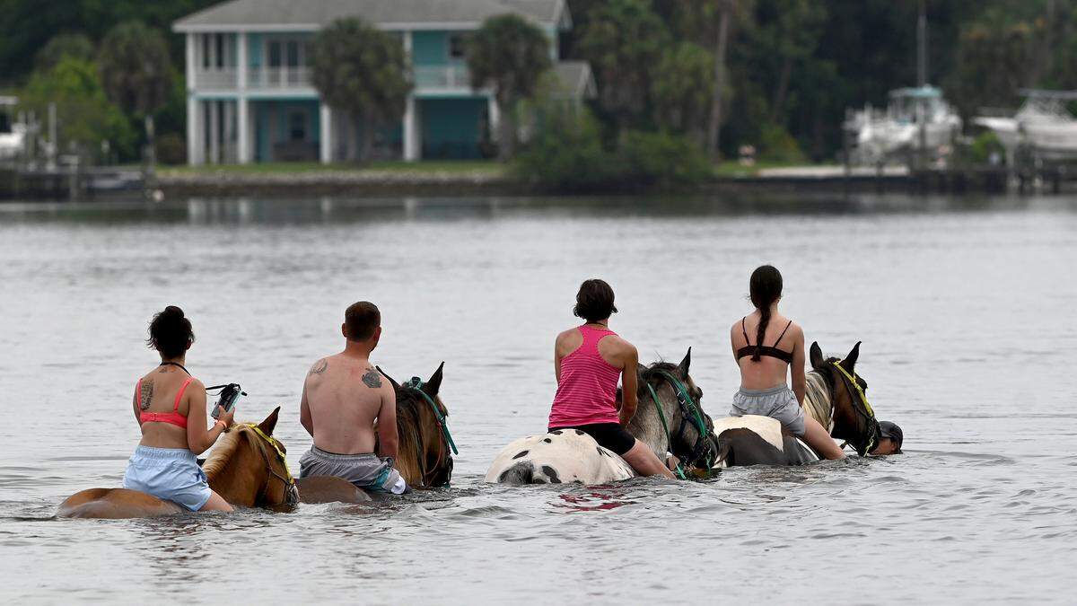Horseback riding along Bradenton’s Palma Sola Bay has been debated over the year. On Thursday, July 27, three beach horse companies were working in the bay.