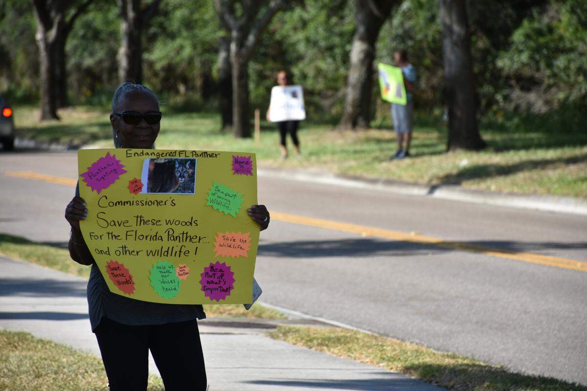 05/28/21--Oakley subdivision resident Etta Smith holds a Save the Panther sign on Friday afternoon as Ellenton resident protest the rezoning and development of a 18.75-acre piece of land that they believe is home to a Florida panther and other wildlife.