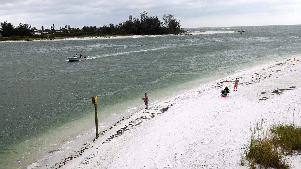Medium concentration levels of Karenia brevis, the algae that causes red tide, were detected in water samples taken in early November 2022 by the Florida Fish and Wildlife Conservation Commission near Longboat Pass.