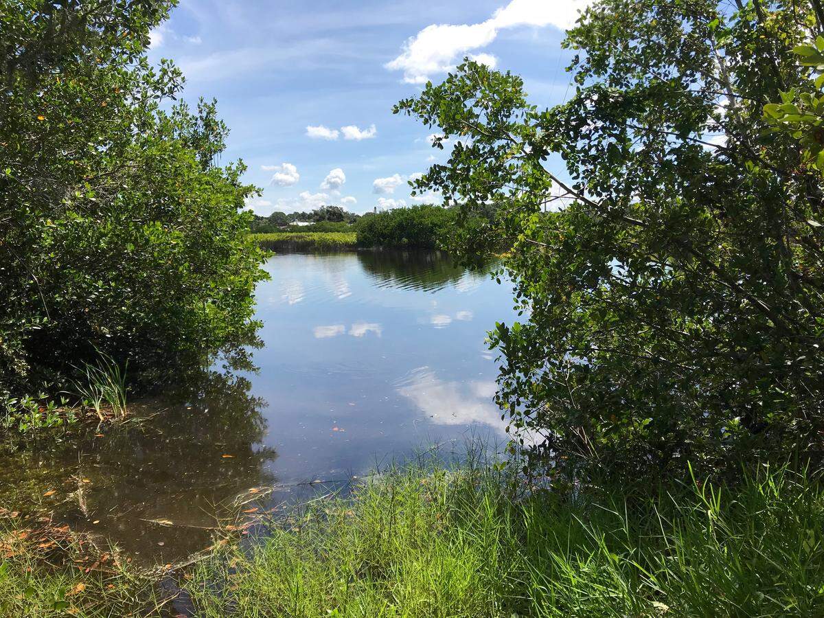 Manatee County officials hope to complete land acquisition by year’s end that will clear the way to build a low-profile bridge over this portion of the Braden River. The segment is part of the project to complete the eight mile extension of 44th Avenue East.