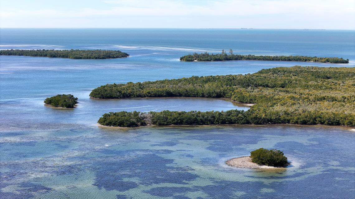 Bradenton Herald week in review