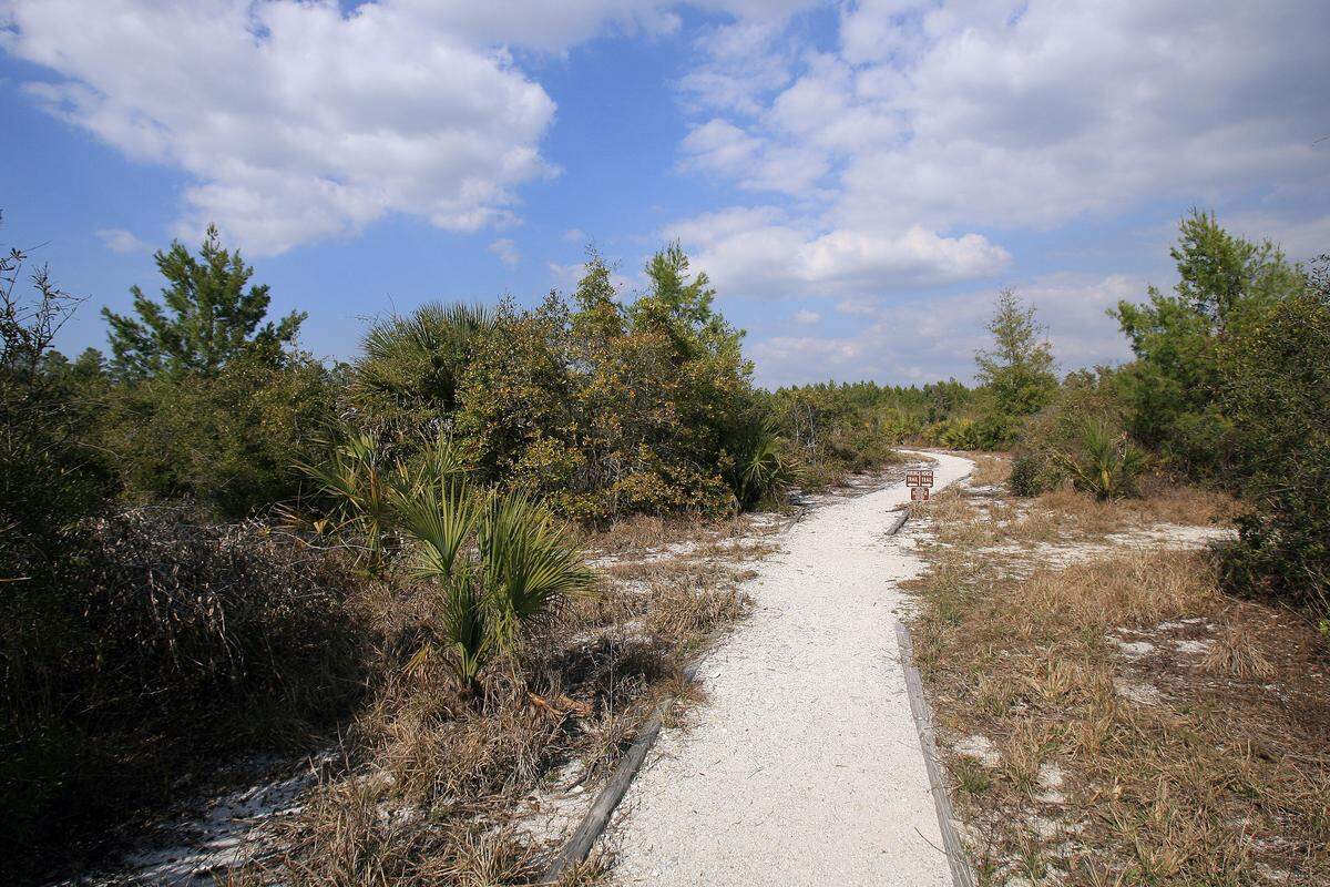 Rye Preserve offers hiking and biking through native Florida ecosystems in Parrish.