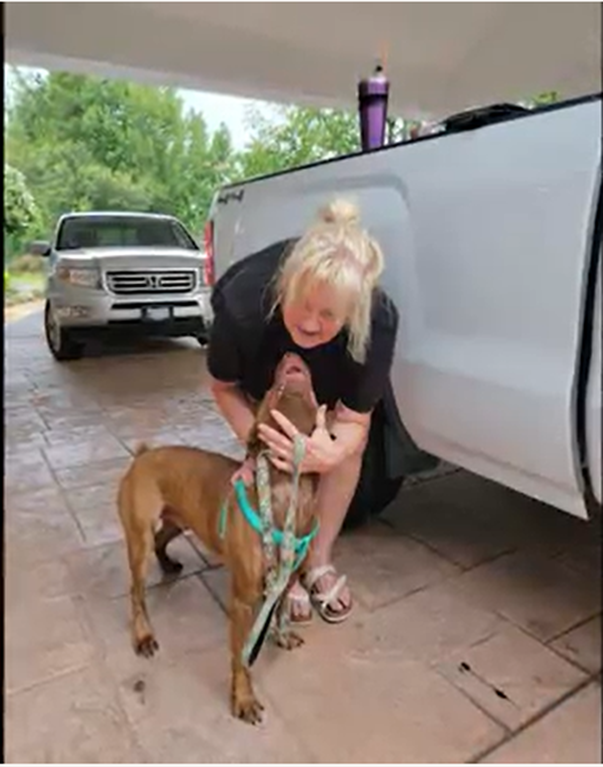 Joyce Hathaway, of Augusta, Georgia, thought her dog was gone. Turns out Dozer showed up at a Palmetto, Florida animal center and was returned to her on Aug. 3, 2023.
