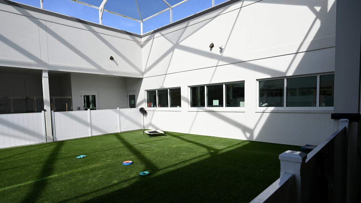 The play yard at the existing facility at the Bishop Animal Shelter, which is soon unveiling its expanded shelter with new pet amenities and increased security measures aimed at increasing animal adoption rates, shown on Dec. 11, 2025.