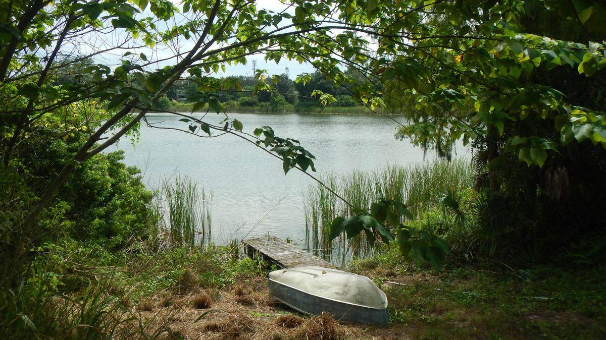 The Conservation Foundation of the Gulf Coast is preparing to purchase a conservation easement on 58 acres of East Manatee County land with help from a grant from the Bishop-Parker Foundation. The property is on Gap Creek, a tributary of the Braden River.