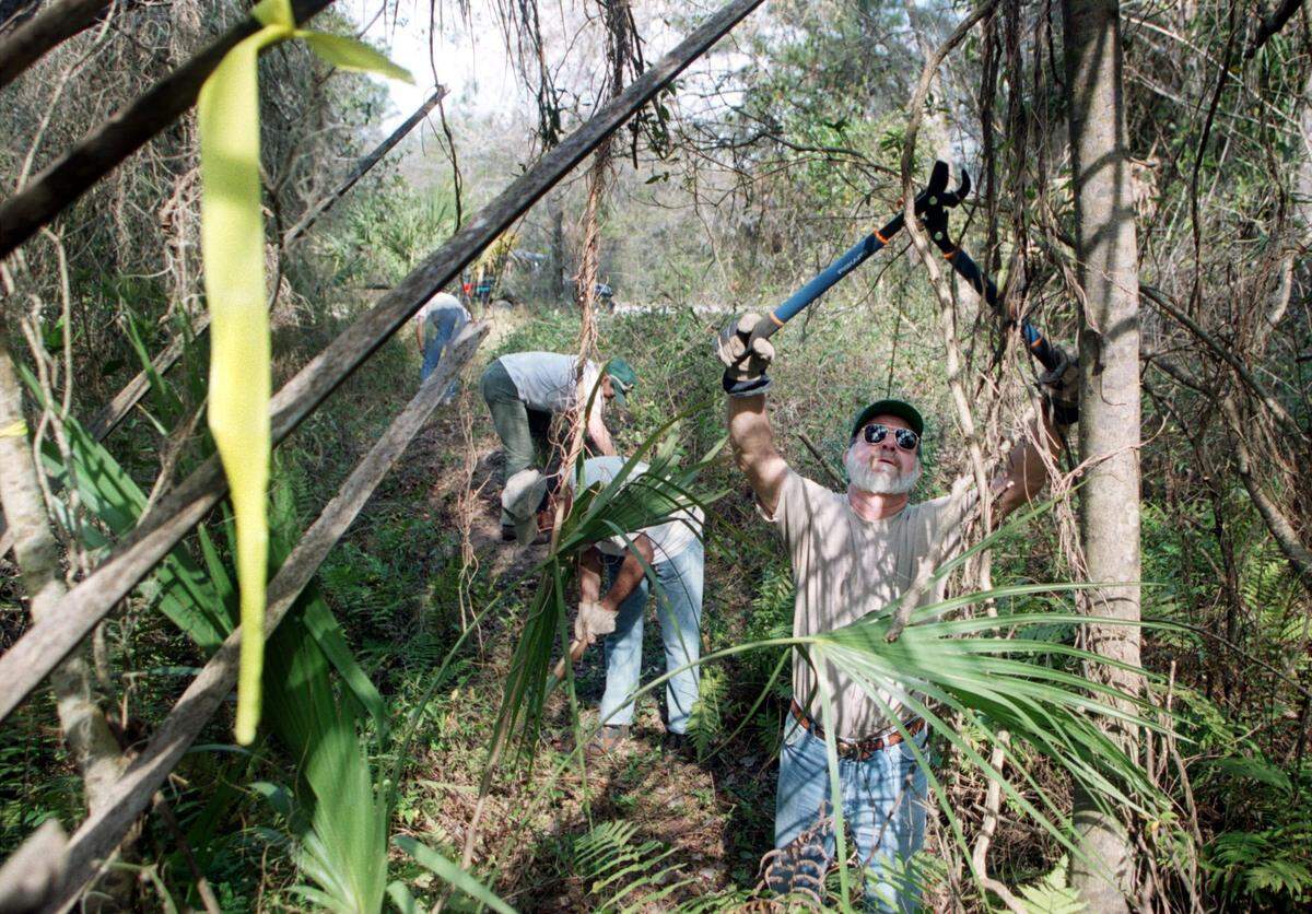 Myakka River Riders clear a horse trail in Rye Wilderness Park in East Manatee. The park is next door to the Florida Sheriff’s Youth Ranch.