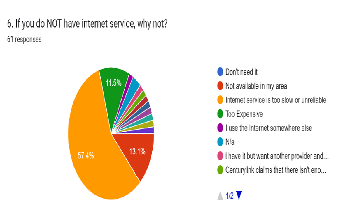 A chart from an internet survey showing reasons why some respondents do not have internet access in DeSoto County.