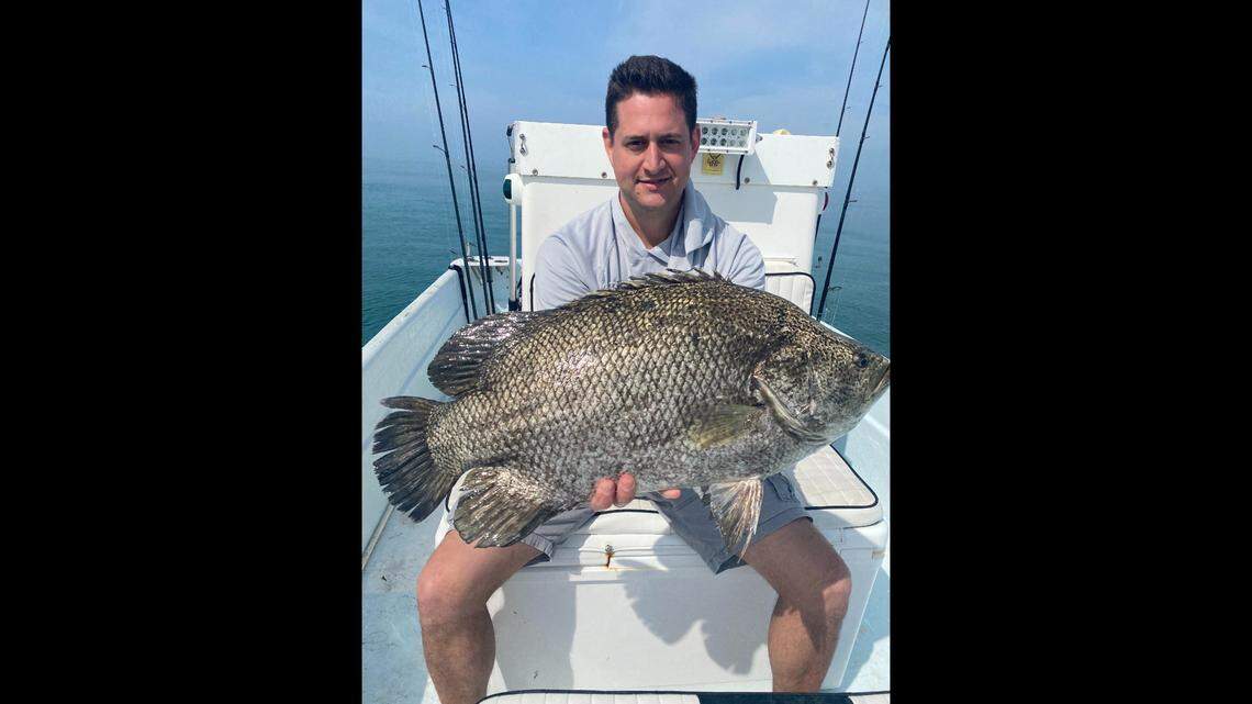 Manatee County angler finds tripletail success in the Gulf near Anna Maria Island