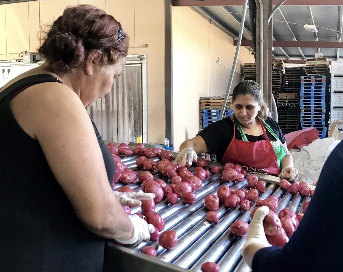 Jones Potato Farm of Parrish reports strong demand for potatoes from supermarket chains, struggling to keep their shelves full during the novel coronavirus pandemic.
