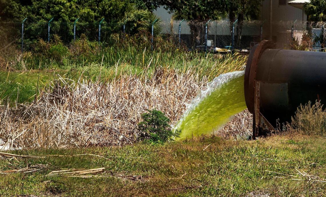 4/7/21--Florida’s environmental agency launched a lawsuit against Piney Point, a former fertilizer plant that spilled 215 million gallons of contaminated water in Tampa Bay. On April 7, 2021, Piney Point's site operators released the water through this pipe that emptied out near Port Manatee in this Bradenton Herald file photo.