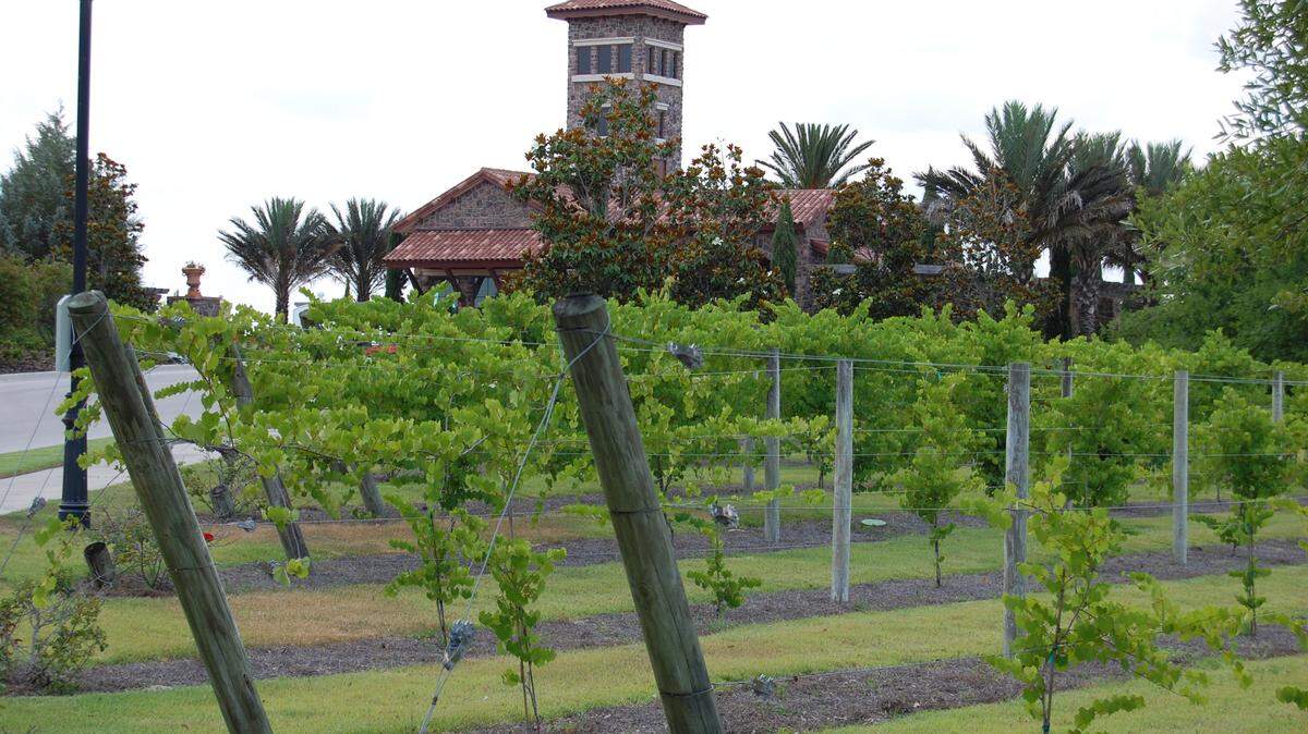 The Lake Club, a high-end Lakewood Ranch neighborhood known for its multi-million dollar homes and Tuscan look, is expected to expand later this year when London Bay Homes begins building a condominium neighborhood as part of the overa Lake Club development. JAMES A. JONES JR./Herald file photo