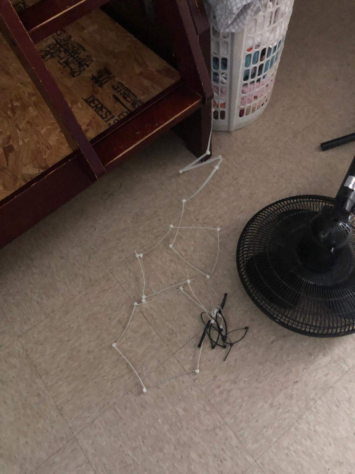 Sarasota deputies say a couple used zip ties to restrain and punish a child.