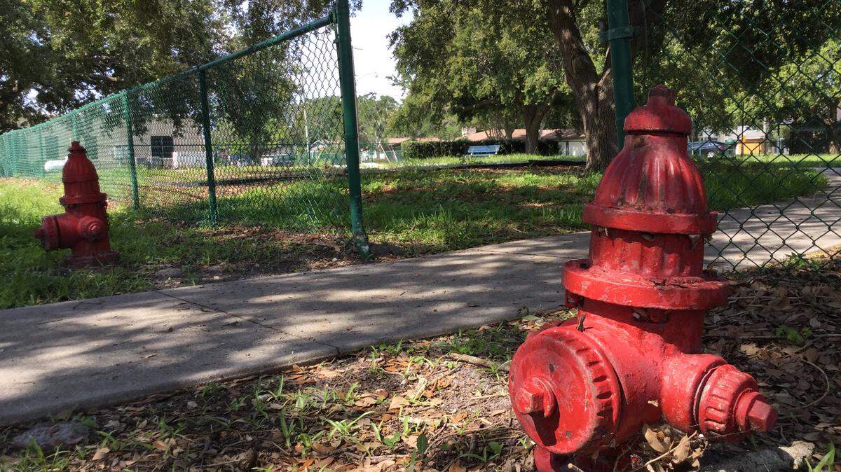 Hydrant Park is a skeleton of what it once was, but that's going to change with the city investing $100,000 to rebuild this popular neighborhood park.
