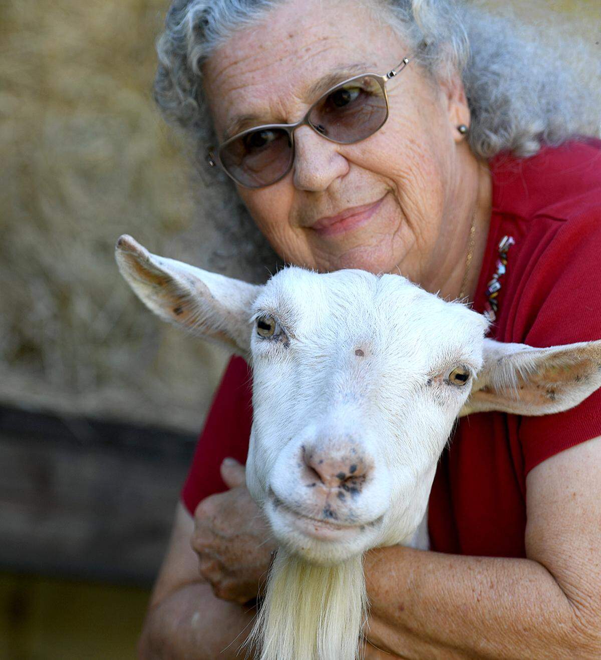 11/03/21—Judy Anderson has been named as this year’s Manatee County Agriculture Hall of Fame inductee for her work with dairy goats. Anderson has shared her knowledge and love for the creatures with children over 30 years through the 4-H Club.