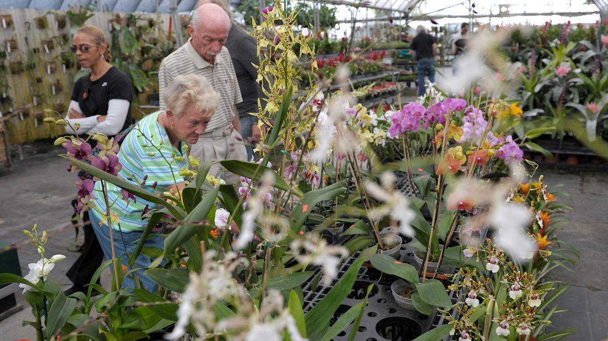 In this April 2013 file photo, plant lovers walk through the grounds of Tropiflora during its 14th annual Spring Festival. Tropiflora experienced issues with Frontier Communications Corp. after Wednesday's storm and owner Dennis Cathcart said he estimates they've lost "thousands" in business.